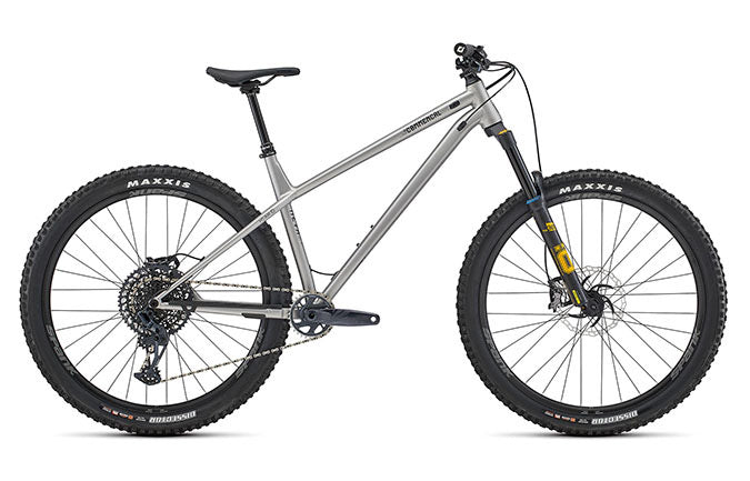 Paint for 2022 Commencal Meta HT AM Ohlins Edition - Matte Silver