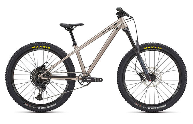 Paint for 2022 Commencal Meta HT JR - Matte Champagne