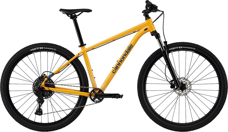 Paint for 2024 Cannondale Trail 5 - Gloss Mango