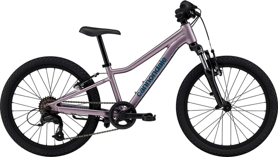 Paint for 2024 Cannondale Kids Trail 20 - Gloss Lavender