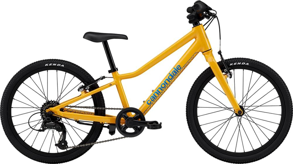 Paint for 2024 Cannondale Kids Quick 20 - Gloss Mango