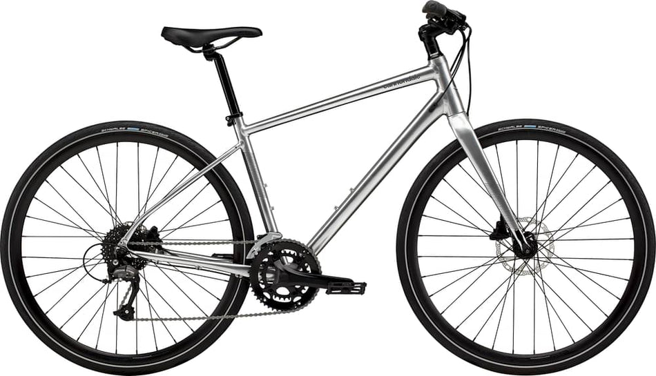 Paint for 2024 Cannondale Quick 3 - Gloss Mercury