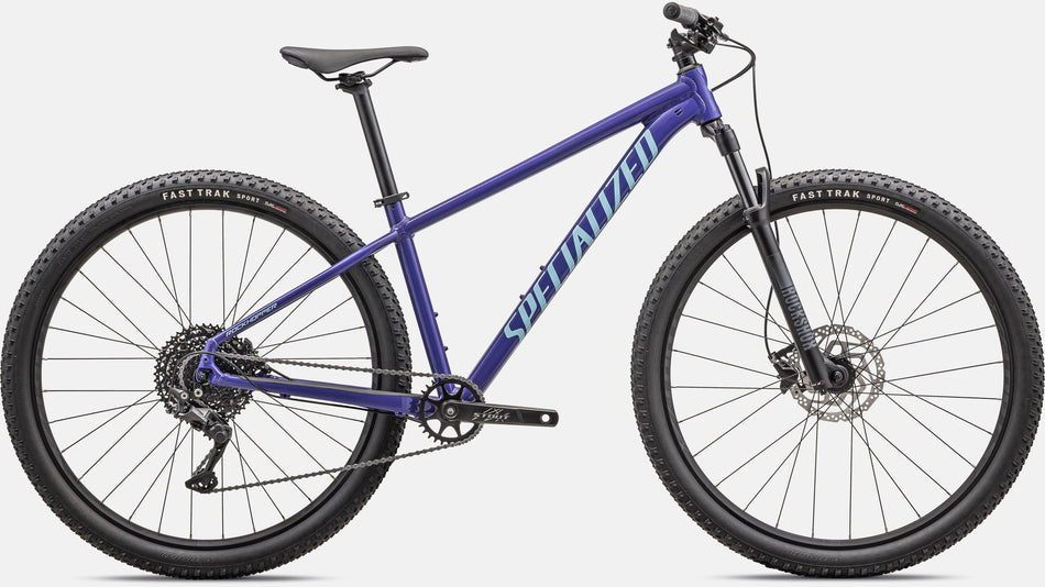 Lack für 2024 Specialized Rockhopper Comp - Gloss Purple Haze