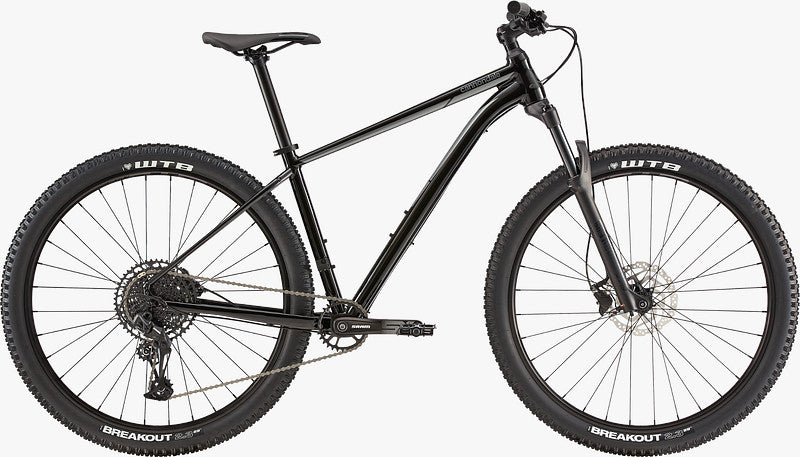 Paint for 2020 Cannondale Trail 3 - Matte Black