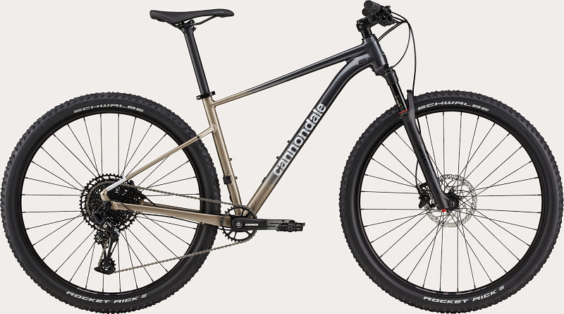 Lack für 2021 Cannondale Trail SL 1 - Gloss Meteor Gray