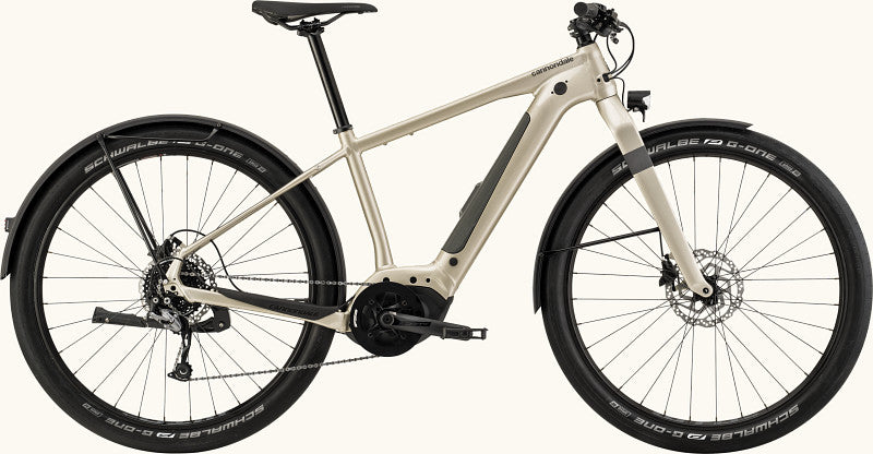 Lack für 2021 Cannondale Canvas Neo 2 - Gloss Champagne