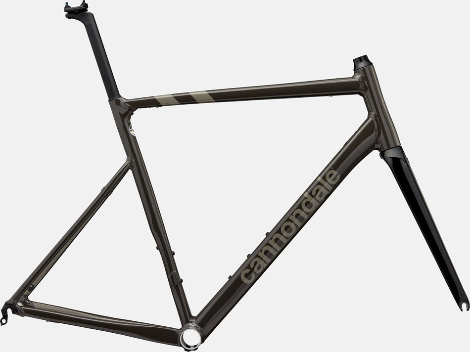 Paint for 2022 Cannondale CAAD13 Frameset - Gloss Smoke Black