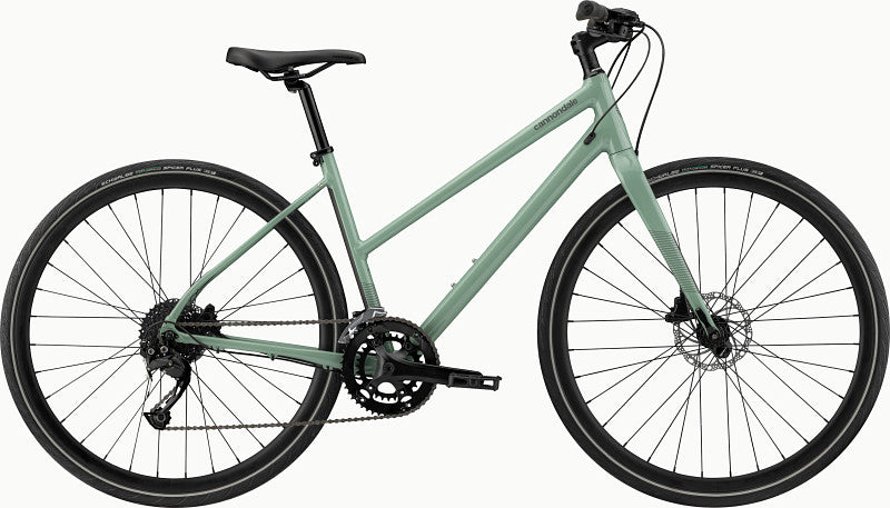 Paint for 2021 Cannondale Quick 3 Remixte - Gloss Sage