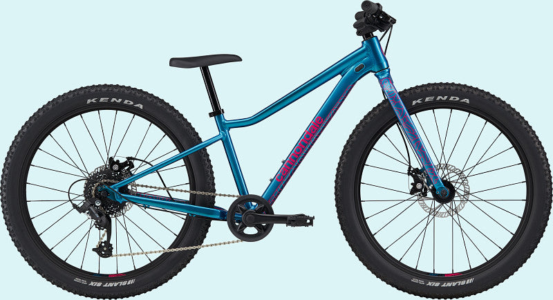 Peinture pour 2023 Cannondale Kids Trail Plus 24 - Gloss Deep Teal