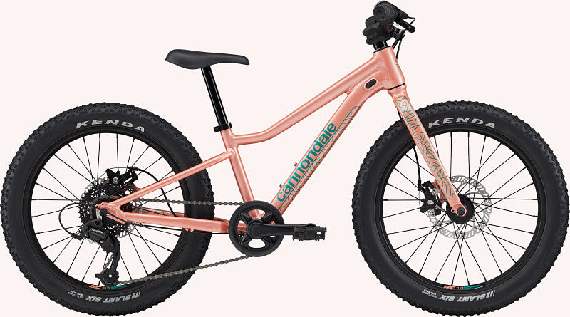 Peinture pour 2023 Cannondale Kids Trail Plus 20 - Gloss Salmon