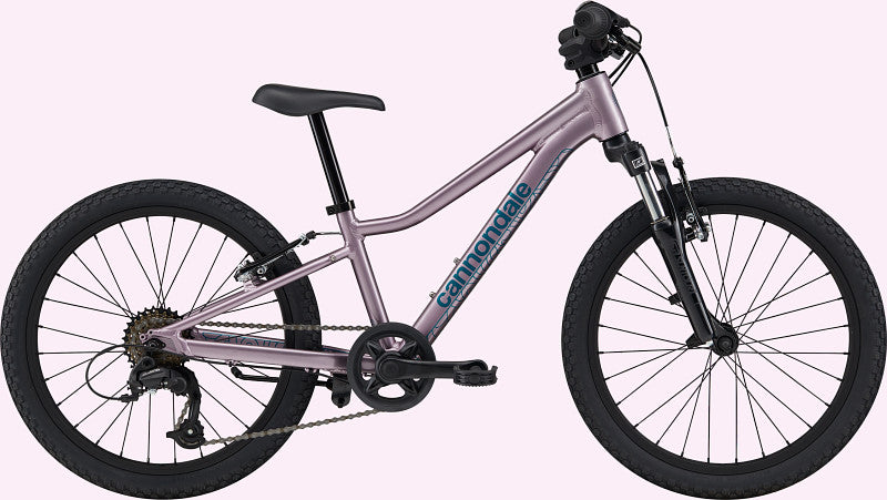 Peinture pour 2023 Cannondale Kids Trail 20 - Gloss Lavender