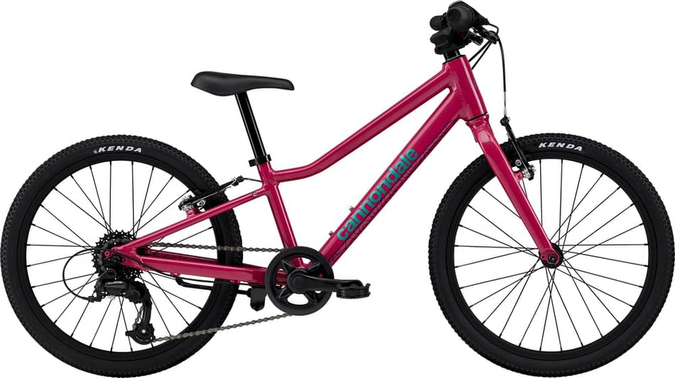 Paint for 2024 Cannondale Kids Quick 20 - Gloss Orchid