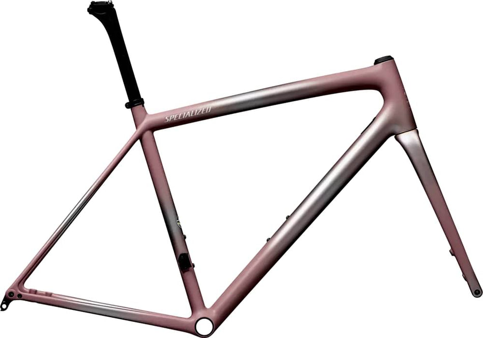 Paint for 2025 Specialized Aethos Frameset - Satin Flake Silver