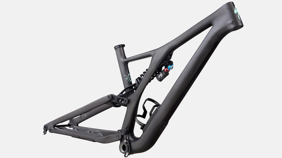 Lack für 2020 Specialized Stumpjumper EVO Carbon 29 - Frameset - Satin Carbon