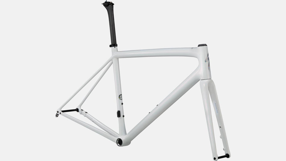 Paint for 2021 Specialized Aethos Frameset - Gloss Abalone