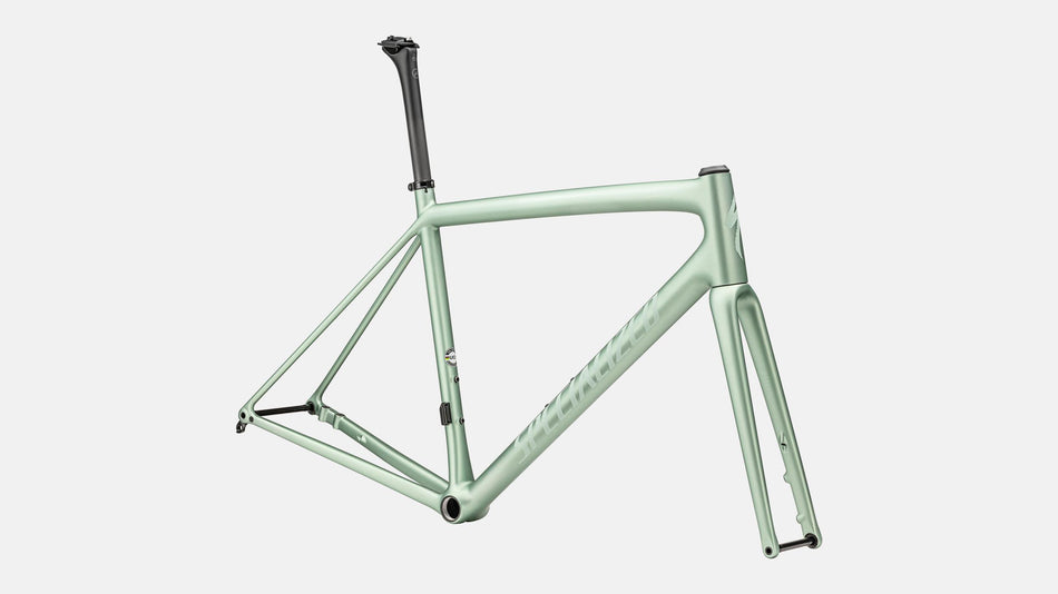 Paint for 2023 Specialized Aethos Frameset - Satin Metallic White Sage