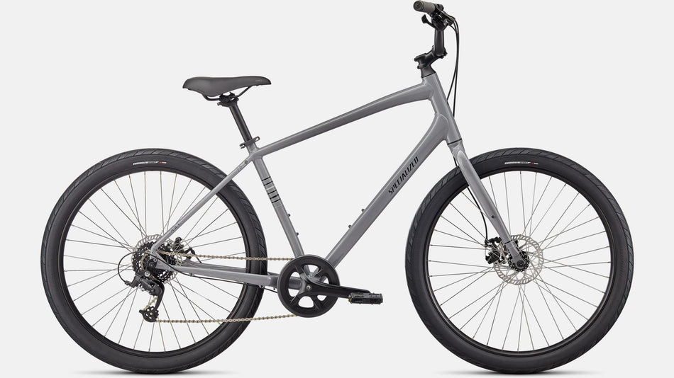 Lack für 2022 Specialized Roll 2.0 - Gloss Cool Grey